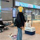 빵꾸네놀이터 이미지