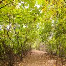 텃골공원 이미지