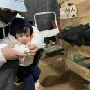 간방산농장 네이버블로그