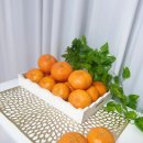 귤담집 | 제주 레드향 가격 비교 후 선택 효돈귤담 레드향 5kg 가정용 후기