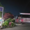 C1 | 30년 컴퓨터 인생, 결국 전기자전거 샀습니다. C1후기