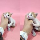 영일종합상사 이미지