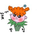 산청꽃집 이미지