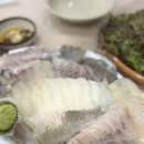 유진 | 강서구 횟집 수산시장 모듬회 먹방 후기! 유진유통에서 신선함&amp;가성비&amp;주차까지 완벽✨