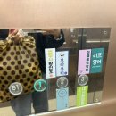 대구 대신동 속눈썹 연장 추천｜보라뷰티 내돈내산 후기