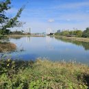 유수지근린공원 이미지