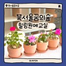 힐링 원예교실 | 북서울꿈의숲 아트센터 2월 힐링원예교실 다녀왔어요 🥰