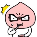 꼬꼬포차 - 춘천시 | 꼬꼬포차