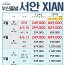 서안살롱 이미지