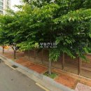 벚꽃로6길 이미지