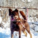 금옥이네 이미지