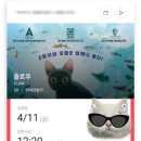 언제나고양이 | 고양이는 언제나 옳다 | 애니메이션 플로우 후기