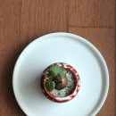 정훈농장2 이미지