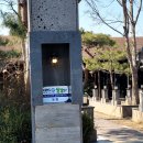 파주 애견동반 삼겹살맛집 토향 방문후기 내돈내산 솔직 리뷰