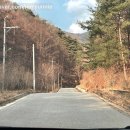 창룡사 | 충주 직동 절 창룡사