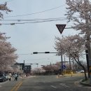 금오산로2-4 이미지