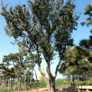 이재선농장 이미지