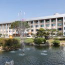 주성초교 이미지