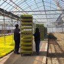 사리면사무소 이미지