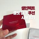 옵티마행복약국 | 여름 쿠션 추천! 셀인펙트 쿨핏 실크 쿠션 후기 (촉촉한 광채 쿠션)