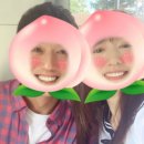 베시시 이미지