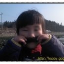 대곡 바다 이미지