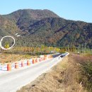 (주) 암새들 이미지