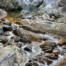 단양충전소 이미지