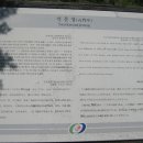 풍산태사로(풍산읍) 이미지