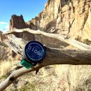 KING team FITNESS 이미지