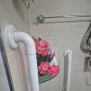 세종병원화장실 이미지