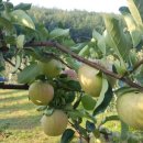 복수농장 이미지