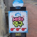 올리브세차장 이미지