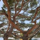 안성면063 이미지