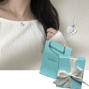 티파니앤코 더블하트 목걸이 :: 아무데나 데일리로 딱인 심플한 목걸이 추천