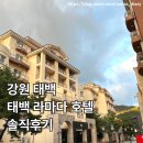 태백빌딩 앞 | [강원/태백] 강원도 태백에서 머무를 가성비 좋은 태백 라마다 호텔 솔직 후기!