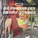 (플로리다 여행)마이애미 2일차|리틀하바나|링컨로드몰|마이애미비치|마이애미포토스팟