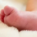 뉴얼리키즈풀빌라 이미지