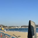 스타벅스기장임랑점 이미지