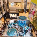 더마초이스 이미지