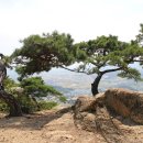 천보산 이미지