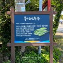 안덕면 건강관리실 이미지