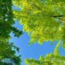 경기대로652번길 이미지