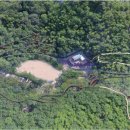 치유의 숲 이미지