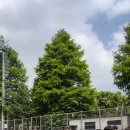 얼티밋 포텐셜짐 이미지