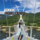 영천 가볼만한 곳 보현산댐 출렁다리