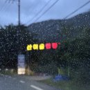 산새소리물새소리 | 예순다섯 번째, 밀양 산여울캠핑장 (2025/07/18)