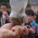 철쭉피는황매골마을 이미지