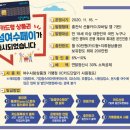 여수사랑 파이낸셜뉴스