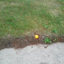 (주)청우그린 이미지